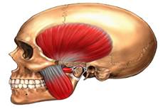 Alteraciones de la articulación temporomandibular