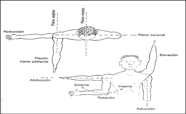 hombro doloroso