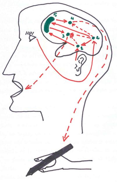 fisioterapia en la hemiplejía