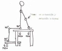 fisioterapia en la hemiplejía