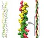 ultrasonoforesis cicatriz hipertrófica