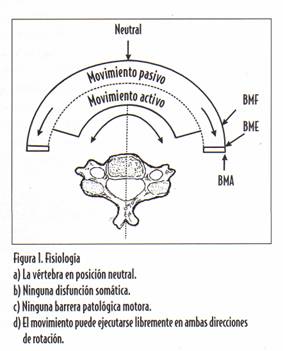 lesión osteopática