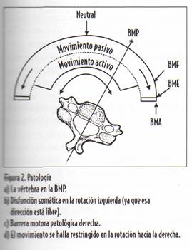 lesión osteopática