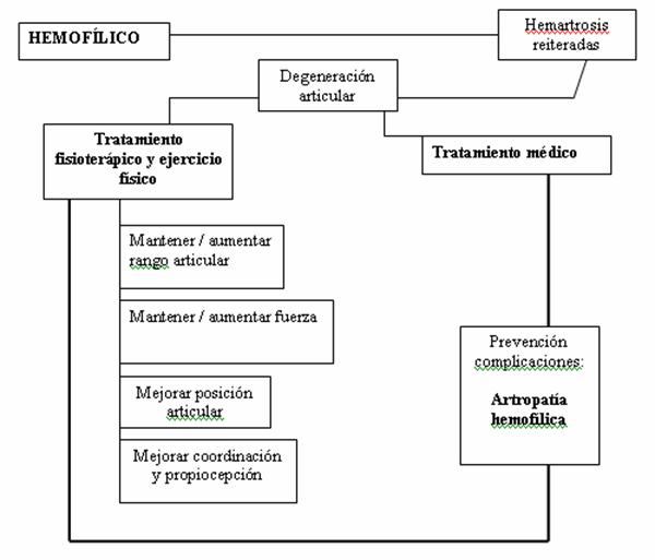 Fisioterapia artropatía hemofílica