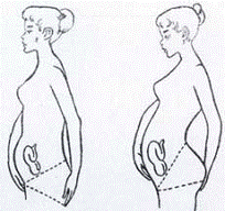 Fisioterapia embarazo y la preparación al parto