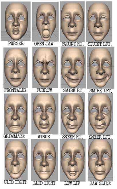 Fisioterapia de la parálisis facial