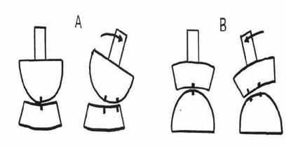 terapia manual ortopédica