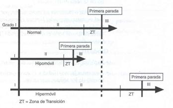 terapia manual ortopédica