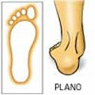 Fisioterapia de las patologías del pie