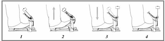 Biomecánica del tibialis anterior