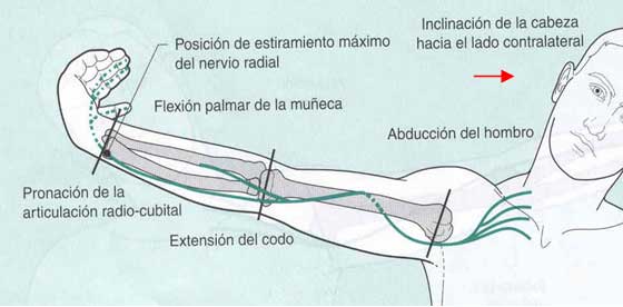 Test neurodinámicos