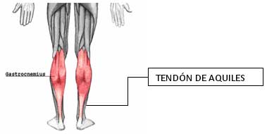 Fisioterapia tendón de aquiles