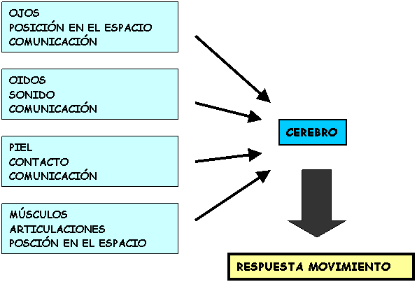 pacientes hemipléjicos