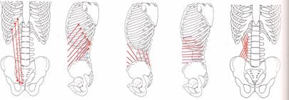 Osteopatía crónica de pubis