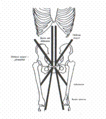 Osteopatía crónica de pubis
