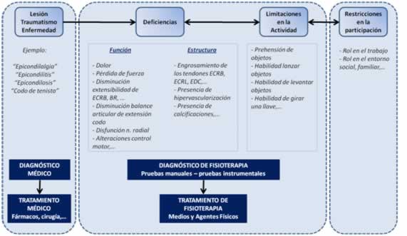 Ecografía musculoesquelética