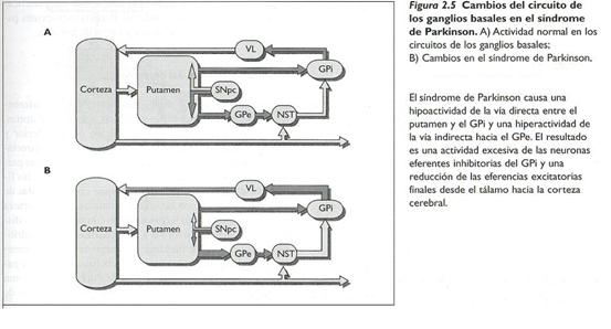 Fisioterapia en parkinson