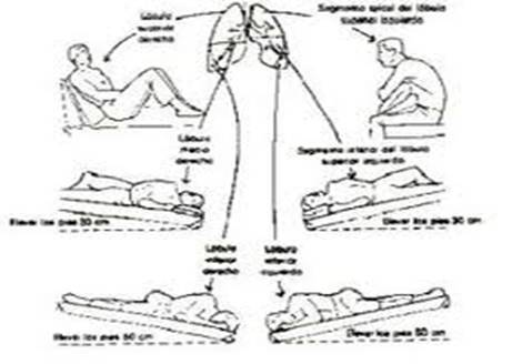 Kinesioterapia de torax