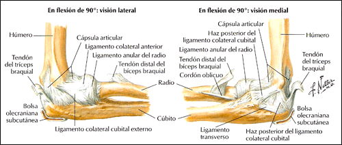 ilustracion2