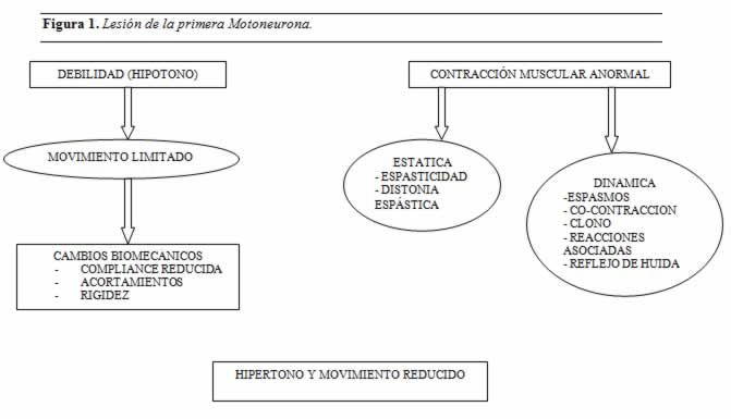 concepto bobath