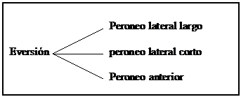 El tobillo anatomía y lesiones más frecuentesl