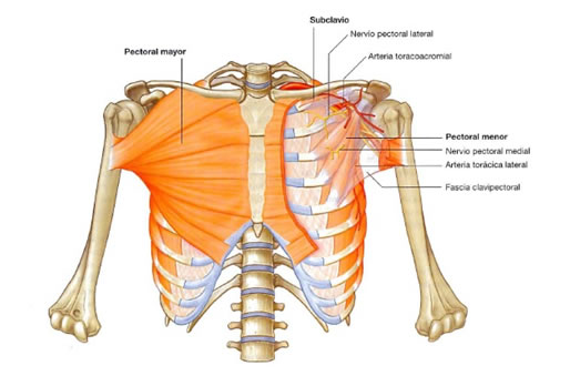 Caso clínico pilates