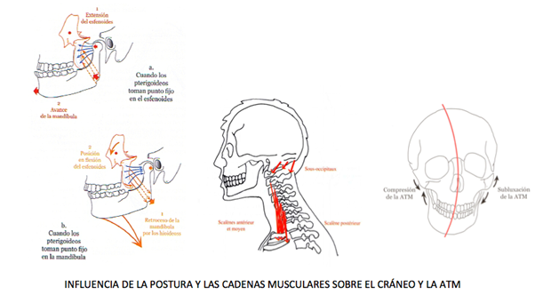 Terapia manual