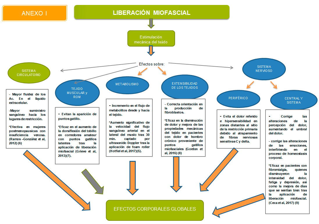 liberacion miofascial