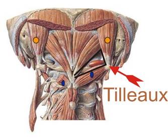 diagnóstico diferencial cervical en osteopatia