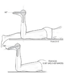 terapia manual ortopedica