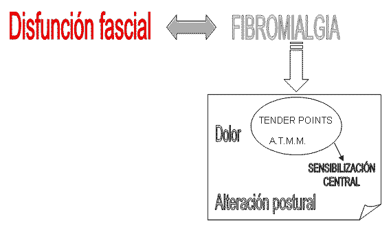 Esquema diagnóstico en base al modelo fascial