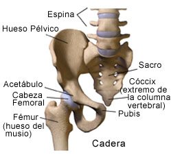 Rotura de fibras del recto anterior en futbolistas 