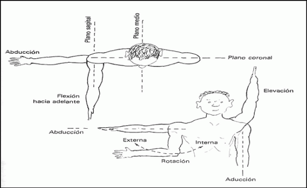 Protocolo de fisioterapia: hombro doloroso no operado