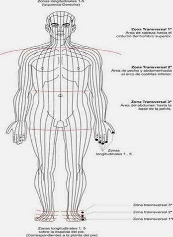 Reflexología podal: un enfoque desde la fisioterapia