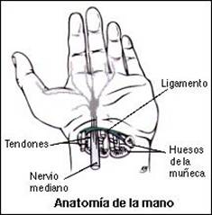 SÍNDROME DEL TÚNEL CARPIANO: ¿Qué es?, anatomía, causas y más