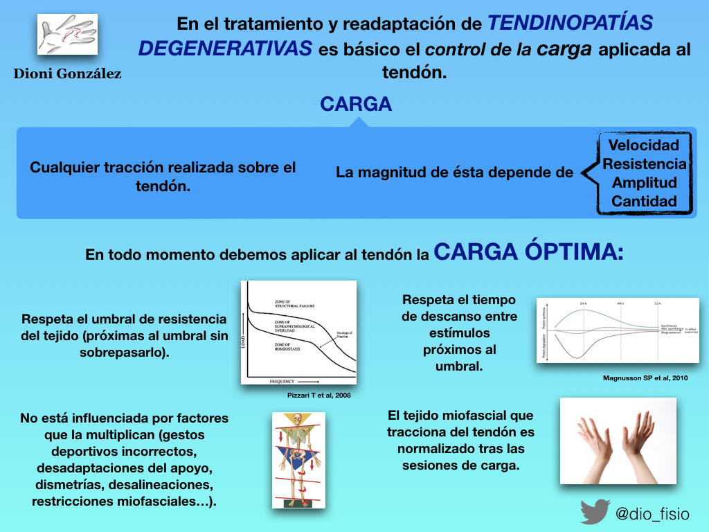 Tendinopatías: la carga como una de las claves de la recuperación.