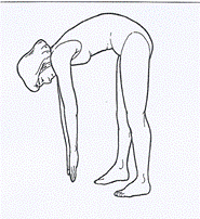 Estudio comparativo de factores (edad, sexo, calentamiento muscular) que influyen la valoración de la flexibilidad Estudio comparativo de factores (edad, sexo, calentamiento muscular) que influyen la valoración de la flexibilidad