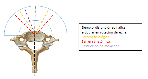 Lesión osteopática y disfunción somática.