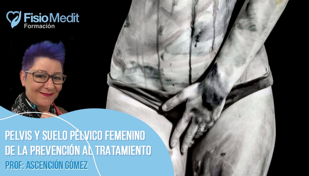 Pelvis y suelo pélvico femenino; de la prevención al tratamiento Pelvis y suelo pélvico femenino; de la prevención al tratamiento