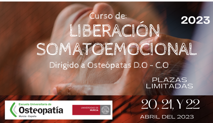 Curso de Liberación Somatoemocional