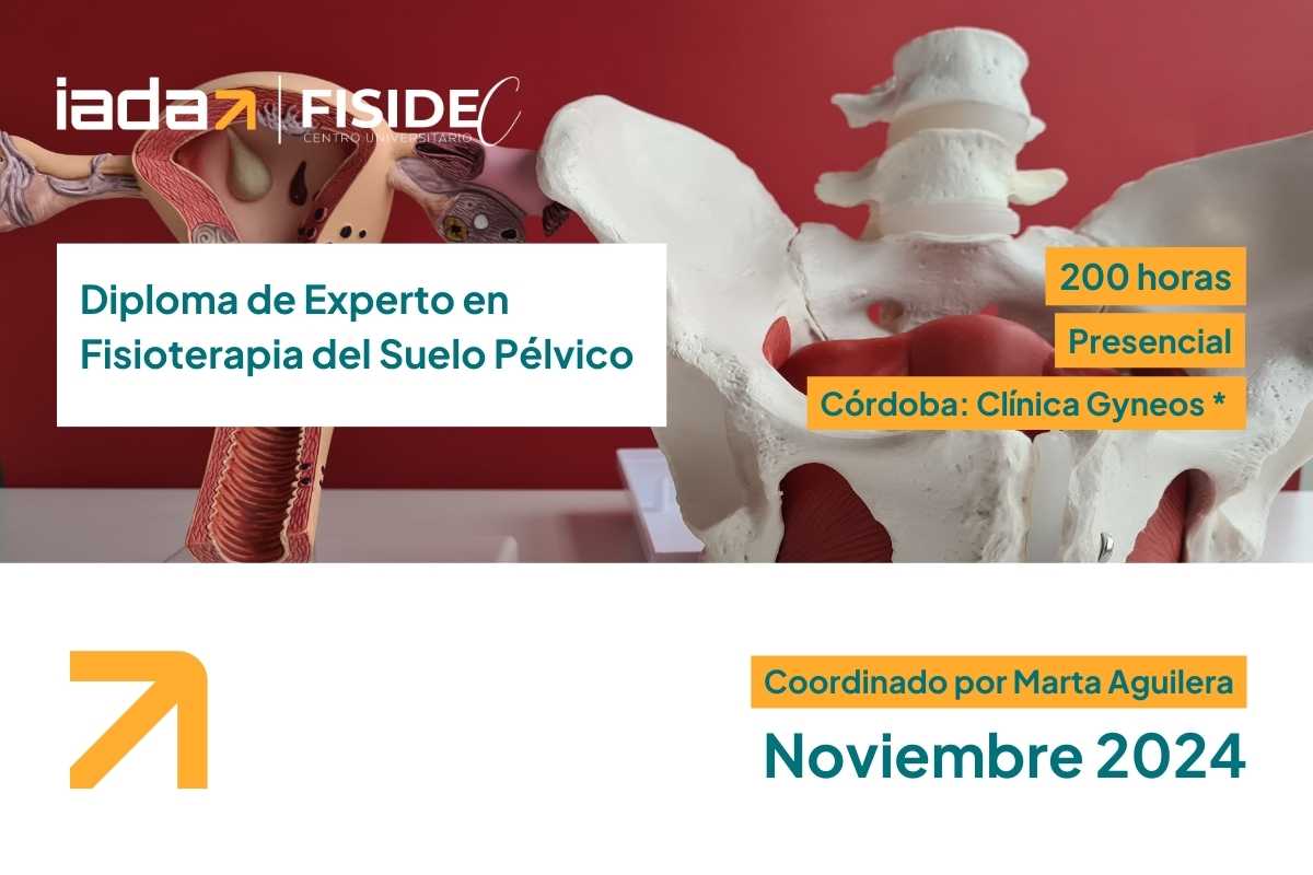 Diploma de Experto en Fisioterapia del Suelo Pélvico Diploma de Experto en Fisioterapia del Suelo Pélvico