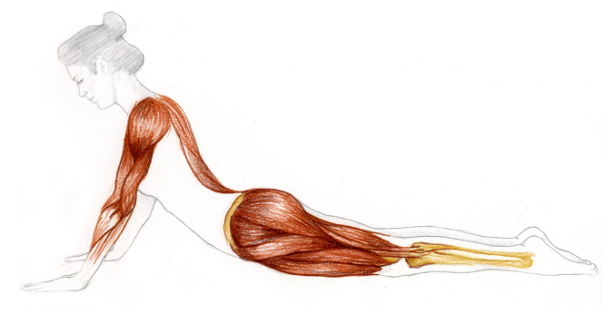 "MÉTODO PILATES SUELO, ACCESORIOS Y ADAPTACIÓN A LA FISIOTERAPIA" Con opción de " MÁQUINAS REFORMER Y TORRE" : Septiembre 2023 "MÉTODO PILATES SUELO, ACCESORIOS Y ADAPTACIÓN A LA FISIOTERAPIA" Con opción de " MÁQUINAS REFORMER Y TORRE" : Septiembre 2023