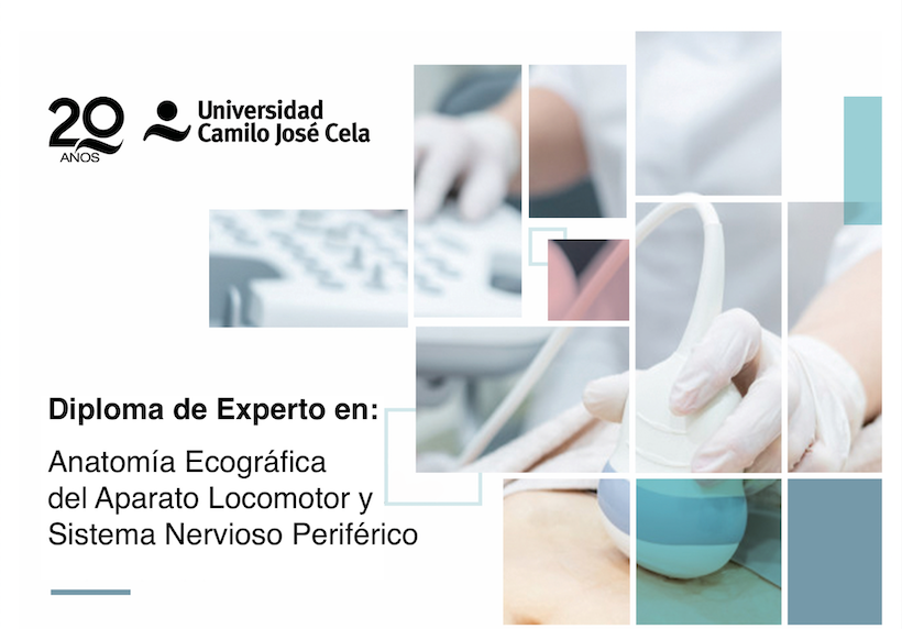 Diploma de Experto en Anatomía Ecográfica del Aparato Locomotor y Sistema Nervioso Periférico - 2ª Edición Diploma de Experto en Anatomía Ecográfica del Aparato Locomotor y Sistema Nervioso Periférico - 2ª Edición