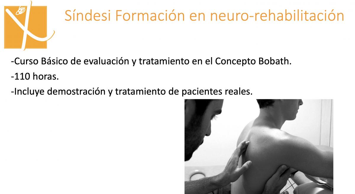 Curso Básico Concepto Bobath