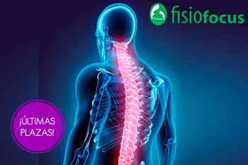 Razonamiento clínico en el dolor lumbar: terapia manual, intervención educativa y ejercicio terapéutico Razonamiento clínico en el dolor lumbar: terapia manual, intervención educativa y ejercicio terapéutico