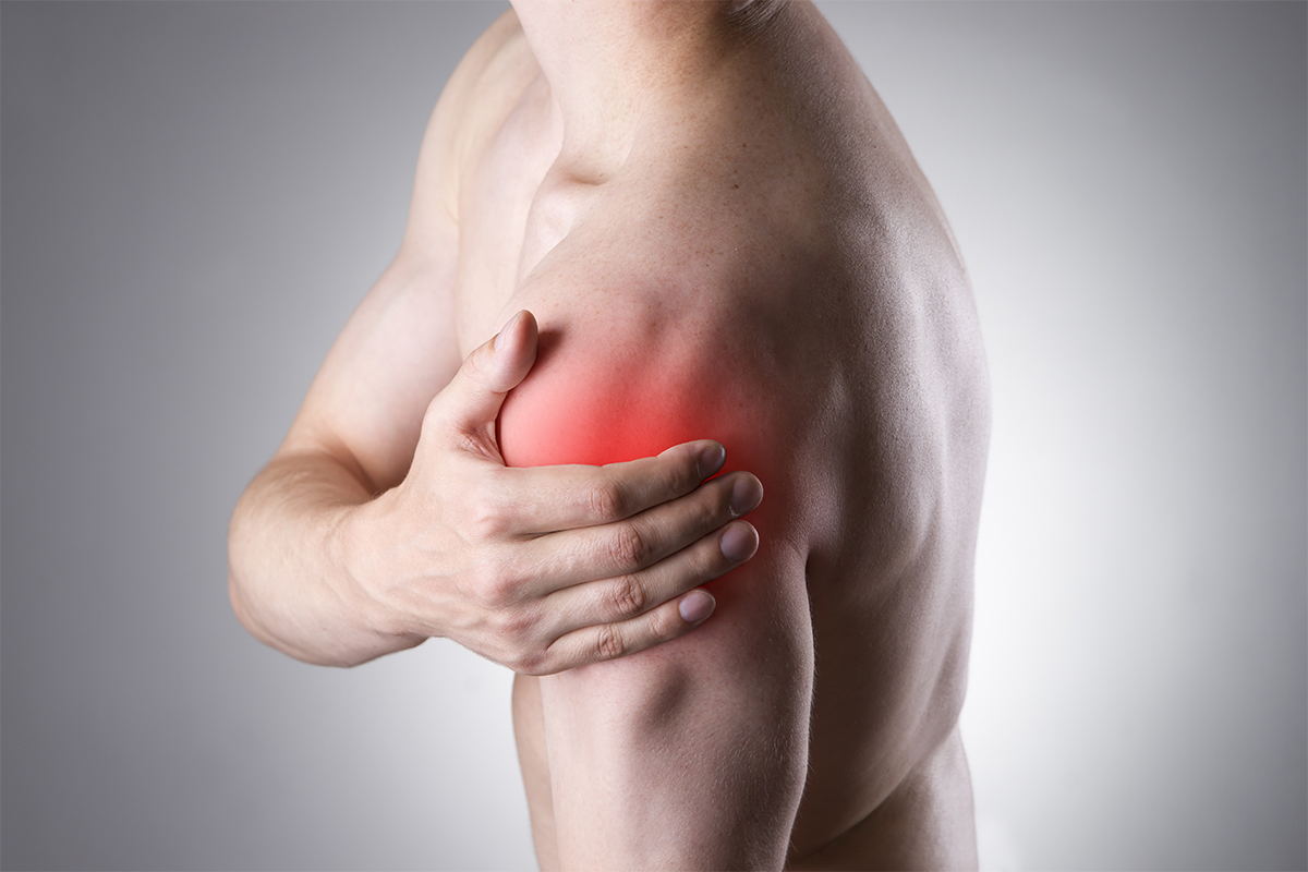 CONGRESO ONLINE INTERNACIONAL: The Shoulder Area CONGRESO ONLINE INTERNACIONAL: The Shoulder Area