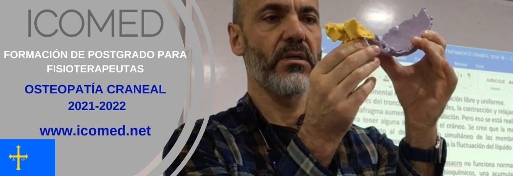 Formación en Osteopatia Craneal ICOMED 10ª PROMOCIÓN "por una formación mas humanizada" Formación en Osteopatia Craneal ICOMED 10ª PROMOCIÓN "por una formación mas humanizada"