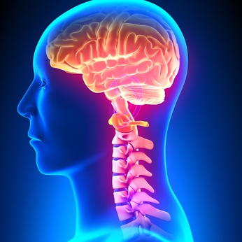 Abordaje de la patología cervical. Terapia manual y razonamiento clínico
