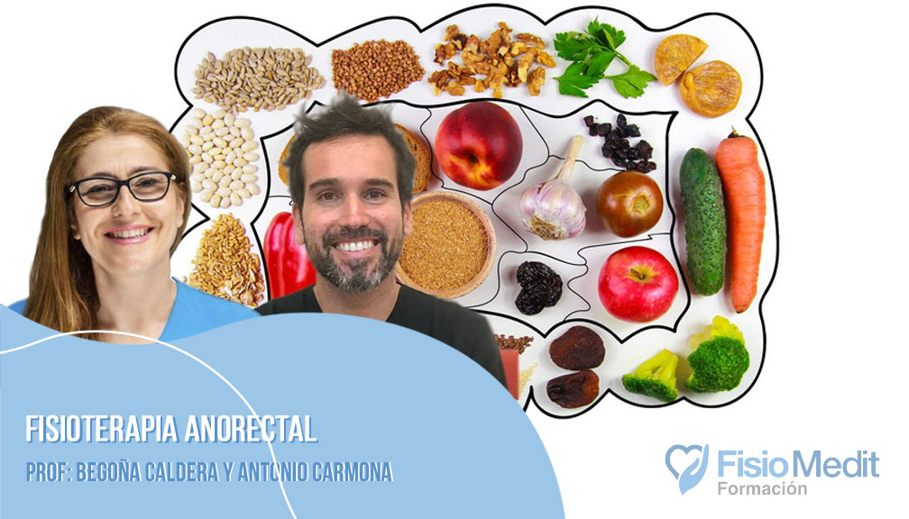 Fisioterapia anorectal. Abordaje integral de las disfunciones digestivas y anorectales.