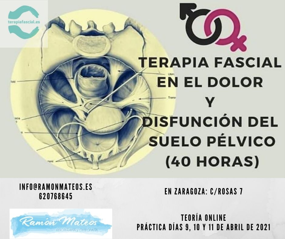 Curso de Terapia Fascial en el Dolor y Disfunción de Suelo Pélvico